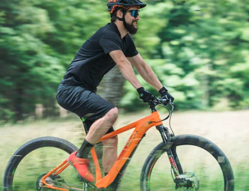 Journée cohésion sportive