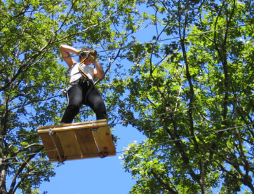 Parc Aventure des Châtelaines – Avallon