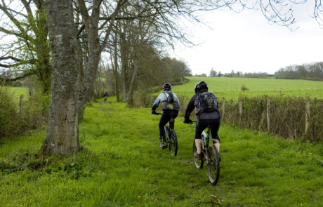 Randonnée de vtt en forêt