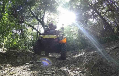 Rando quad en forêt