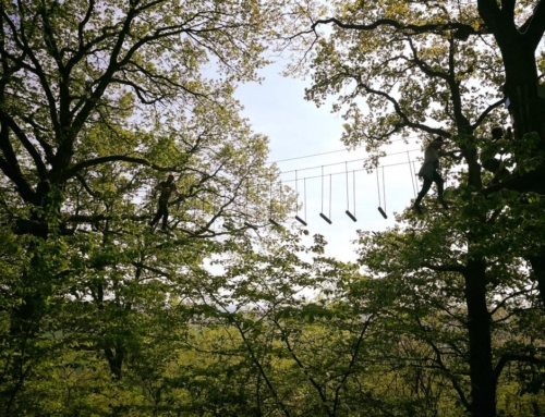 Parc Aventure du Thureau – Auxerre