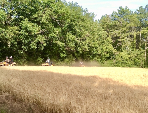 Un guide diplômé pour vos activités
