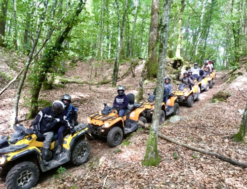 Une randonnée dans le Morvan