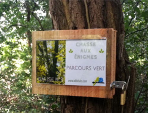 Chasse aux énigmes