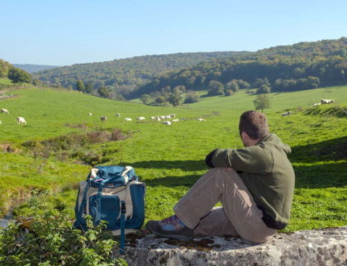 Randonnée / Trekking