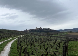 Séminaire vin