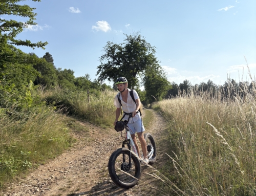 Trottinette électrique